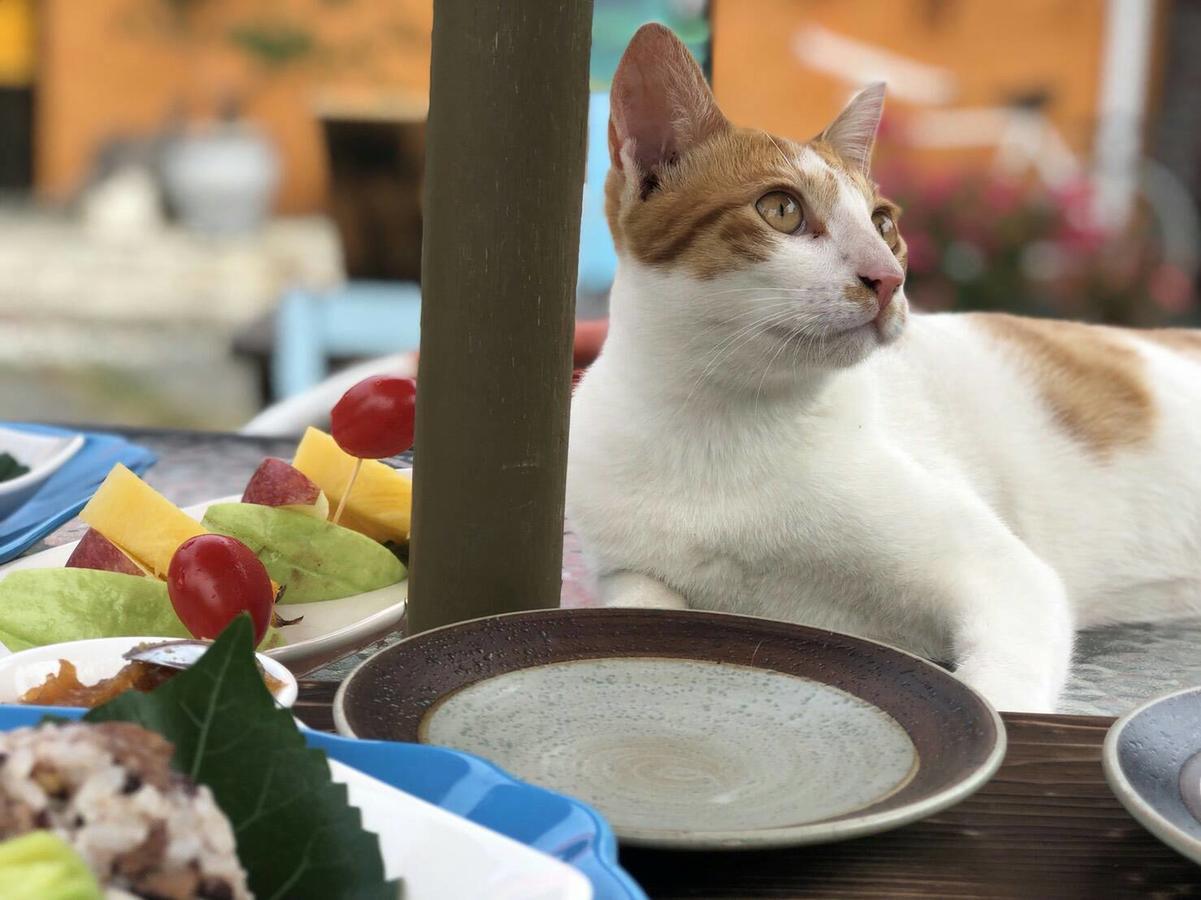 Cat Sky Country Homestay Санксінг Екстер'єр фото